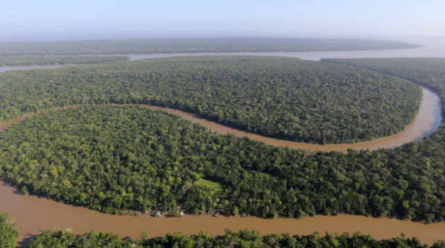 Arqueólogo: "Las próximas pandemias saldrán de la Amazonía"
