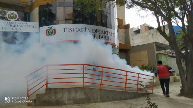 Fumigarán cinco zonas de la ciudad 
