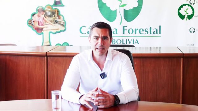 El sector forestal proyecta crear más de 400.000 empleos