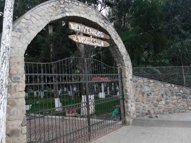  Bosquecillo 