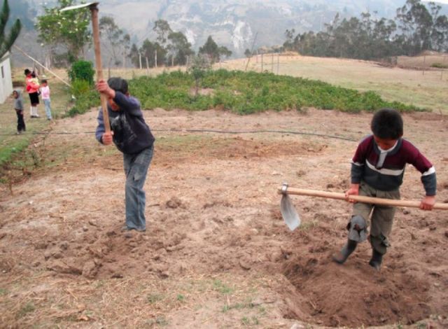 El trabajo infantil, un flagelo  que se instala sin remedio 