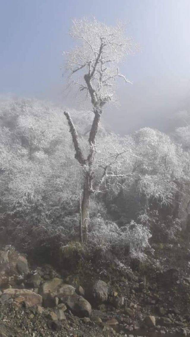 Reserva de Tariquía amaneció con un manto de nieve
