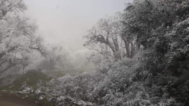Reserva de Tariquía amaneció con un manto de nieve