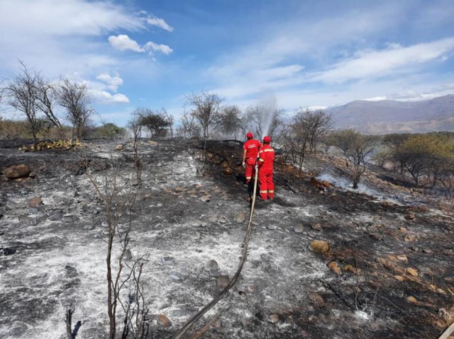 Bomberos sofocaron al menos cinco incendios el miércoles en Tarija