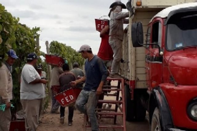 Argentina: Siete bolivianos, entre ellos un bebé, eran trasladadas en un acoplado en medio de ladrillos  
