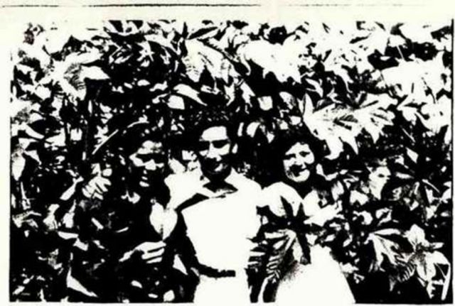 Junto a Erlinda