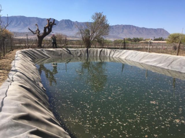 Campesinos de Tarija esperan el Fondo Indígena para agua y riego