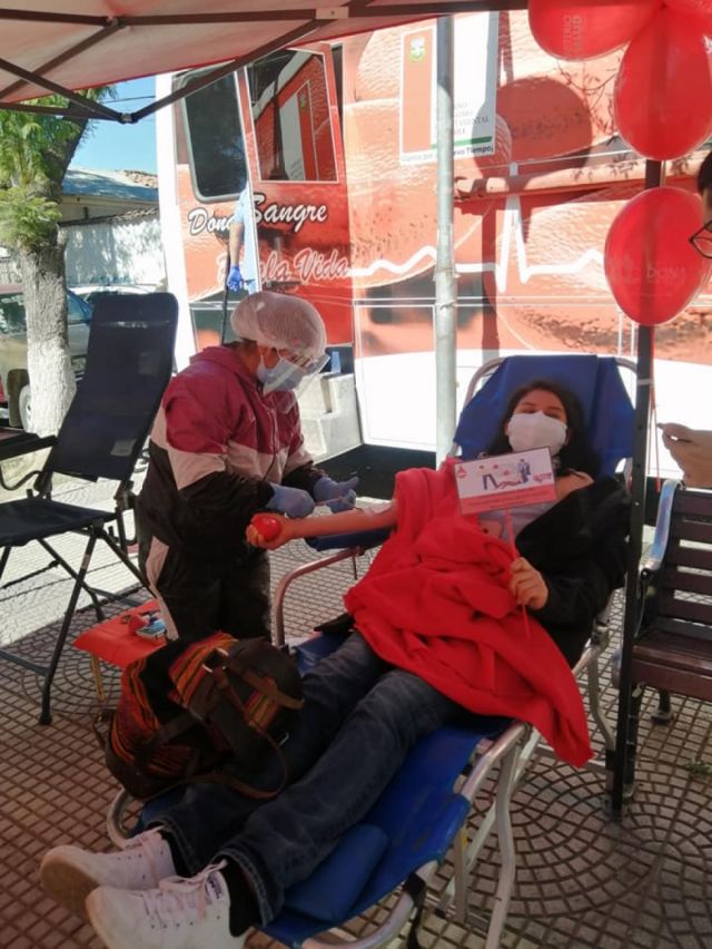 Tarija: Banco de Sangre, al día hay 3 pedidos de plasma