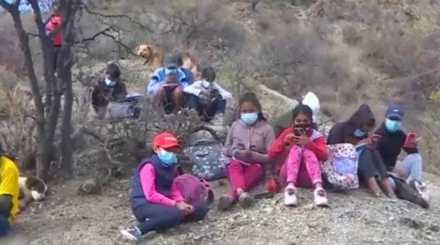 Potosí: Estudiantes de San Sebastián caminan dos horas a un cerro para pasar clases virtuales