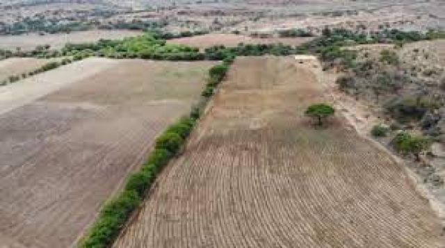 La adaptación de tierras para cultivos frenó la erosión en Tarija