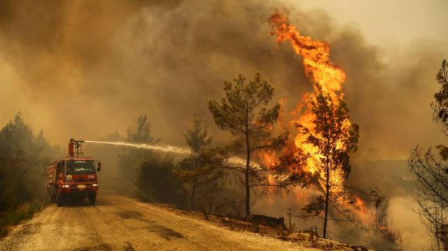 Los incendios forestales causan estragos en Turquía