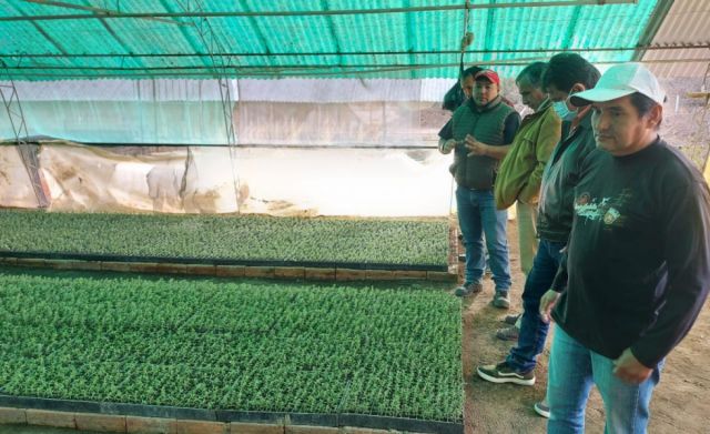 Tarija realiza primer envío de orégano al Uruguay