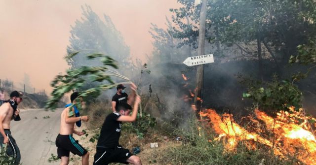 Incendio forestal arrasa Argelia