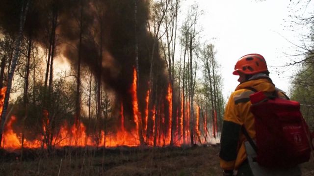 Al menos 65 muertos en incendios en Argelia