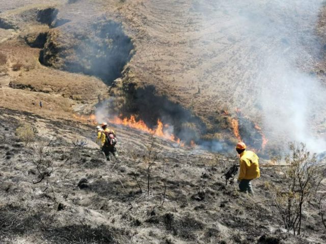Chaqueos y viento en incendios de Pajchani y Tomatas Grande 