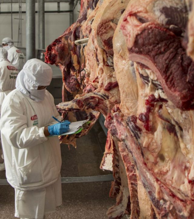 IBCE: Bolivia exportó 10.810 t de carne bovina