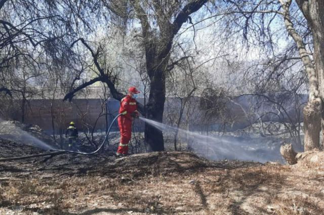 Incendio originado en lote baldío puso en riesgo viviendas del barrio Germán Bush en Tarija