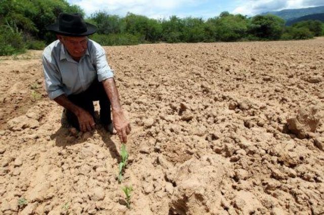 Productores de El Puente y Entre Ríos ya sienten la escasez de agua