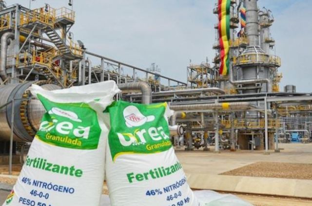 Daño económico a la planta de urea es de $us 428 MM