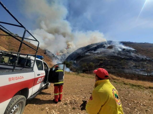 Incendio consumió unas 30 hectáreas de pastizales en Tarija