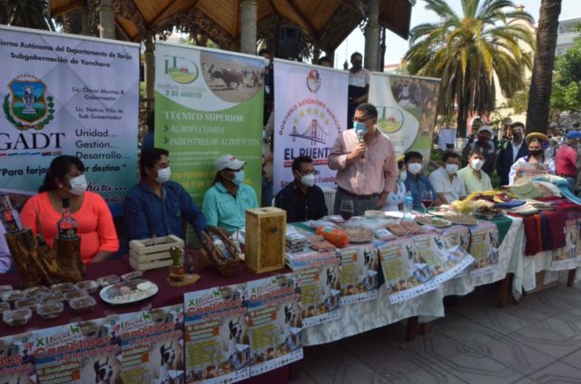 Tarija busca recuperar su sitial en la producción de camélidos