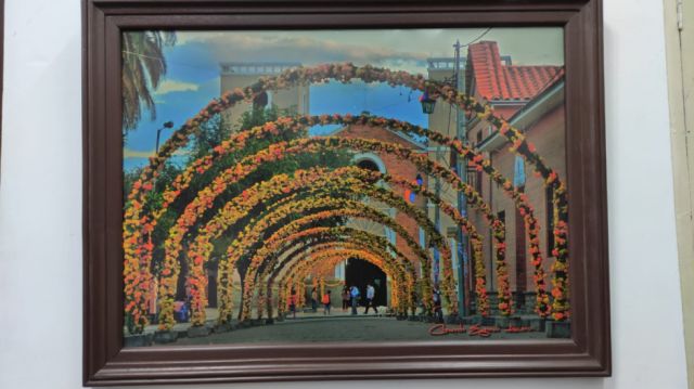 Arcos de rosa pascua.