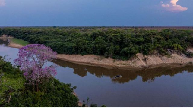 Los grandes lagos de Beni, sus  650 vertebrados y 150 mariposas