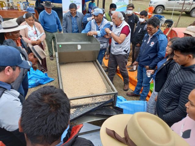 El Iniaf consolida producción  de semilla de arveja en Tarija 