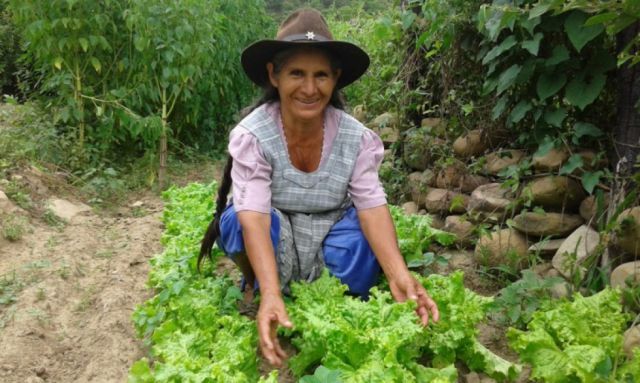 La participación clave de las  mujeres en la agricultura