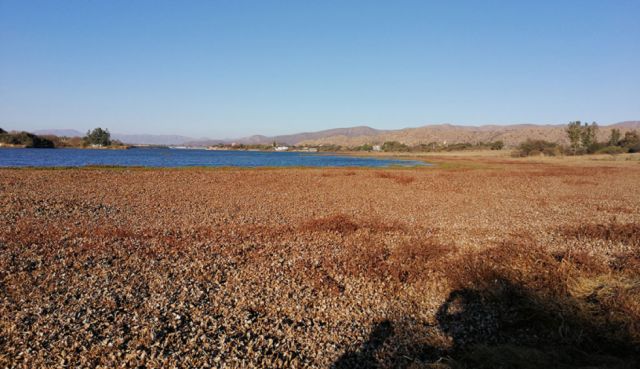 Lago San Jacinto 