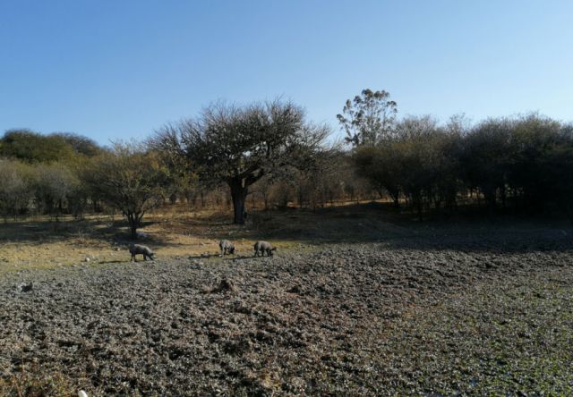 Paisajes de Tarija