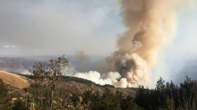 Incendio afecta bosque en  Parque Nacional Tunari