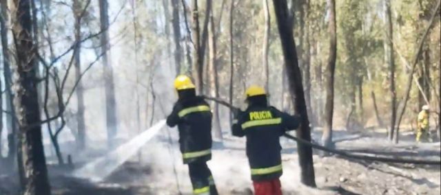 Controlan incendio en el  Bosquecillo de Tomatitas en Tarija 
