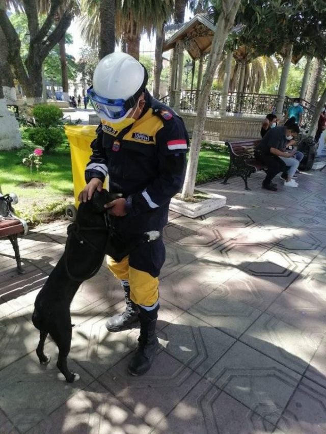 Venden gelatinas y choripanes para evitar sobrepoblación de perros en el penal de Tarija