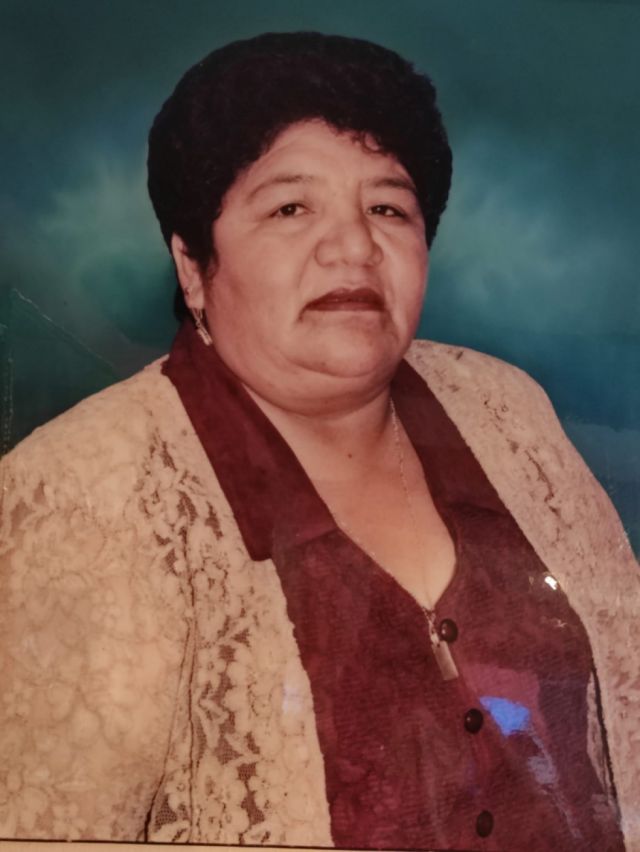 “He trabajado mucho y de todo, pero pude salir adelante con mis hijos”.