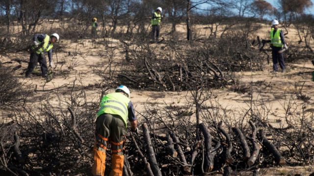 COP26: La vía a una cumbre histórica (o decepcionante)
