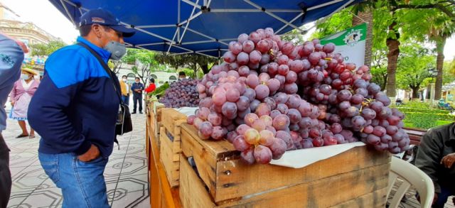Tarija: Productores acuerdan nivelar venta de uva en cajas de 20 kg 