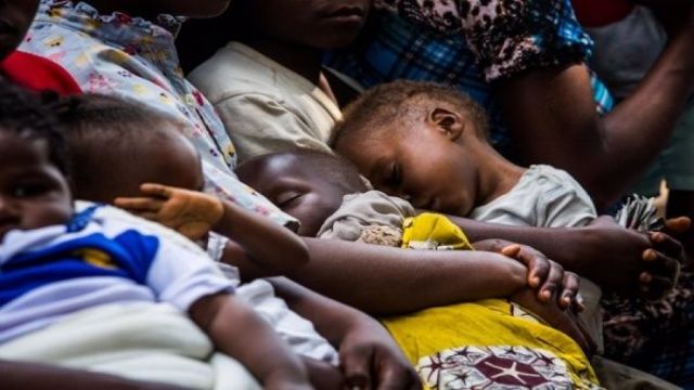 OMS reporta incremento de casos de malaria debido a la Covid-19 OMS reporta incremento de casos de malaria debido a la Covid-19