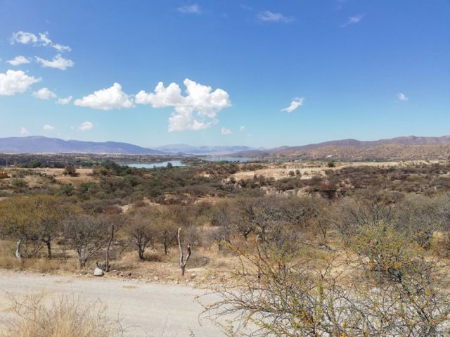 Vegetación nativa y el verdor generado por el Lago San Jacinto  