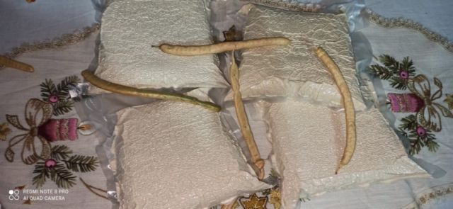 Weenhayek procesaron mil kilos  de harina de algarrobo en 2021