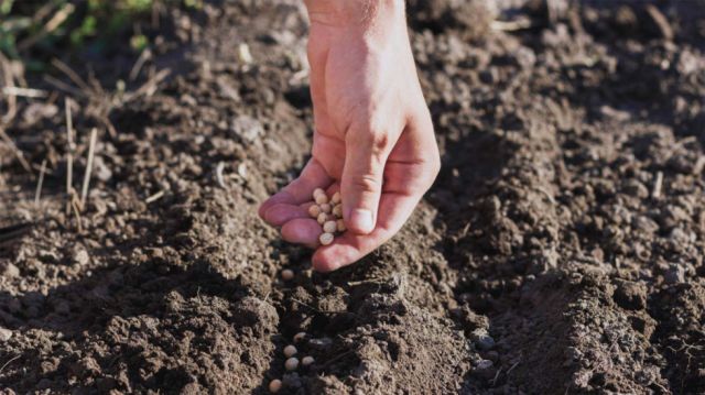 Prosol 2021: Campesinos de Tarija priorizan semillas, abono y riego