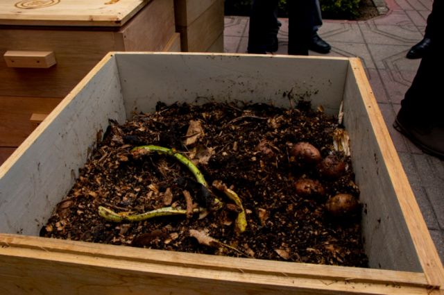 Proyectan transformar la basura orgánica en compostaje 