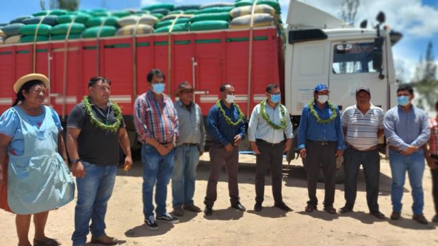Productores tarijeños enviaron 13 mil kilos de orégano para exportación 