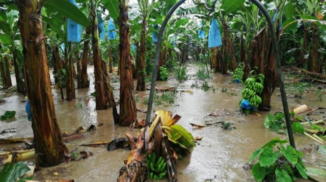 Suben a 70 los municipios afectados por las lluvias