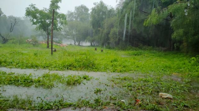 Zona  San Luis 