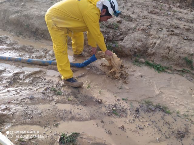 Lluvias causaron 20 caídas de árboles y postes 
