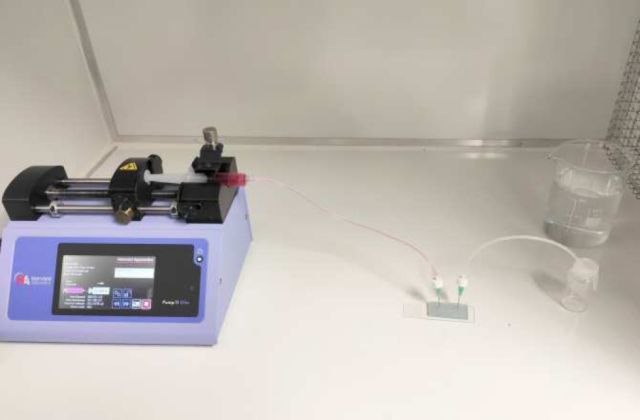 Nuevo dispositivo para fabricar piel humana in vitro