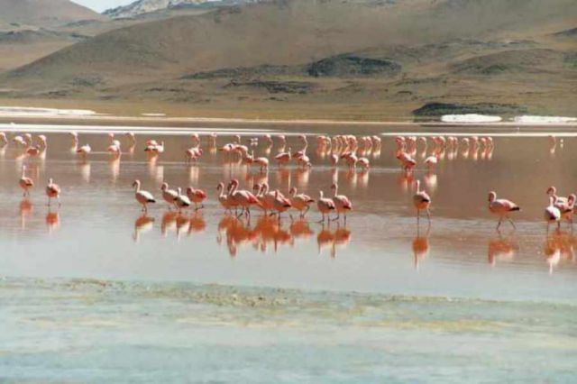 Buscan potenciar el turismo en  Yunchará