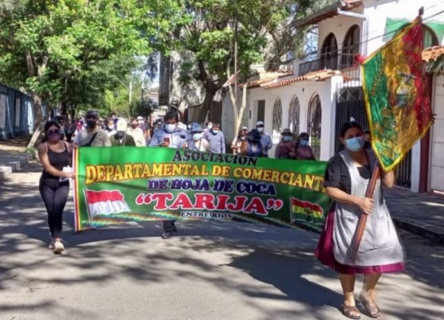En Tarija rechazan el aumento de vendedores de hoja de coca 