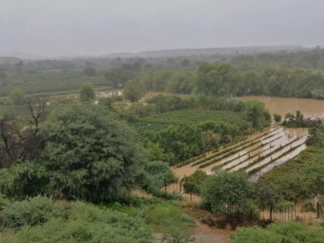 Desborde de río afecta cultivos de vid y otros productos en Uriondo-Tarija (Videos)